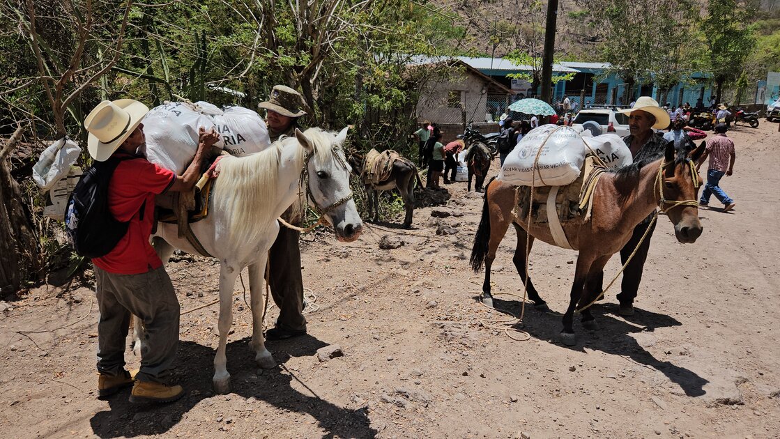 People load food supplies onto pack horses in a rural Central American community as part of anticipatory assistance.